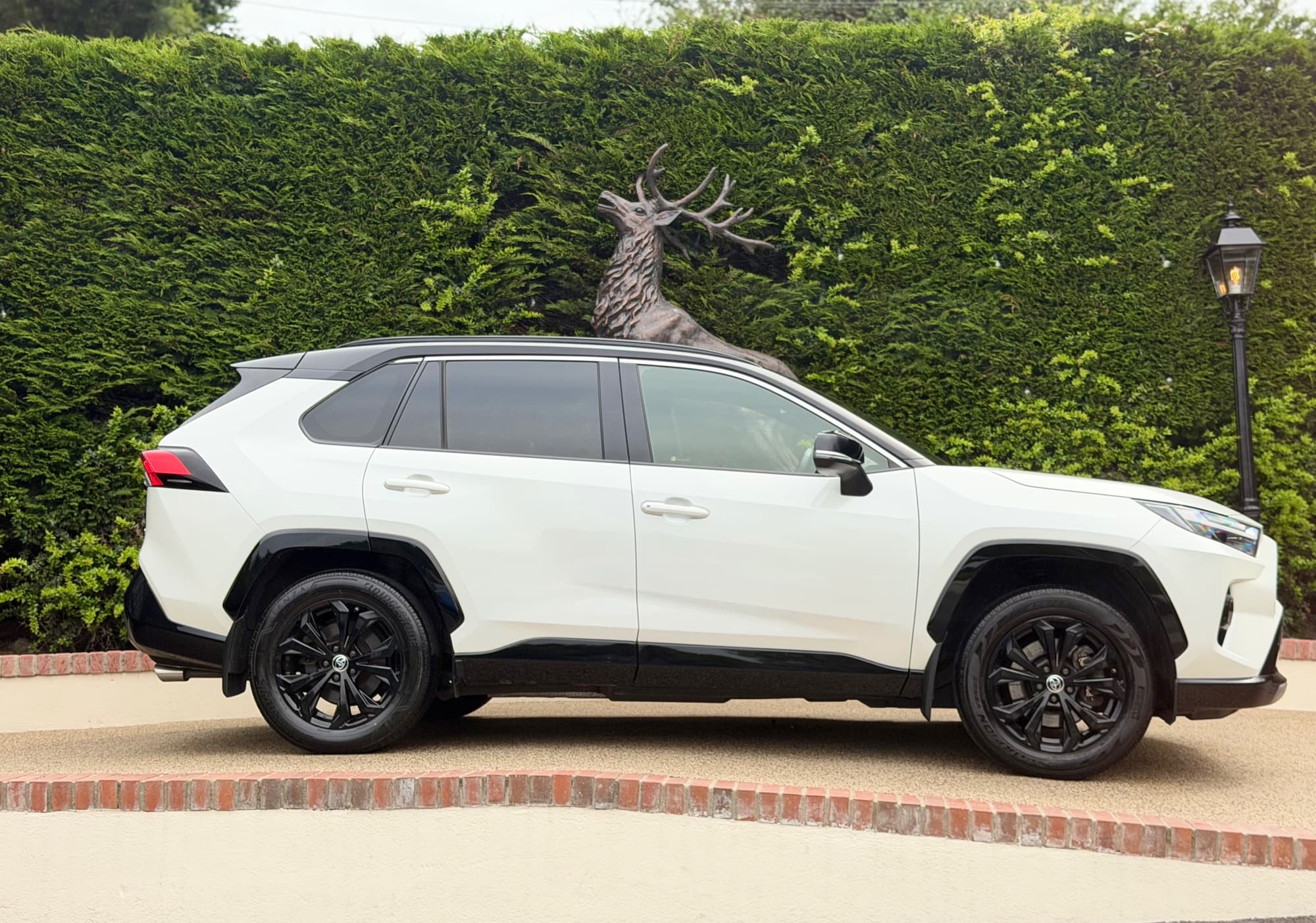 2022 Toyota RAV4 photo 2
